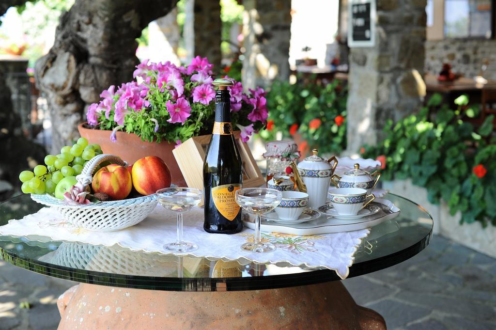 Bauernhof Agriturismo Borgo Mocale